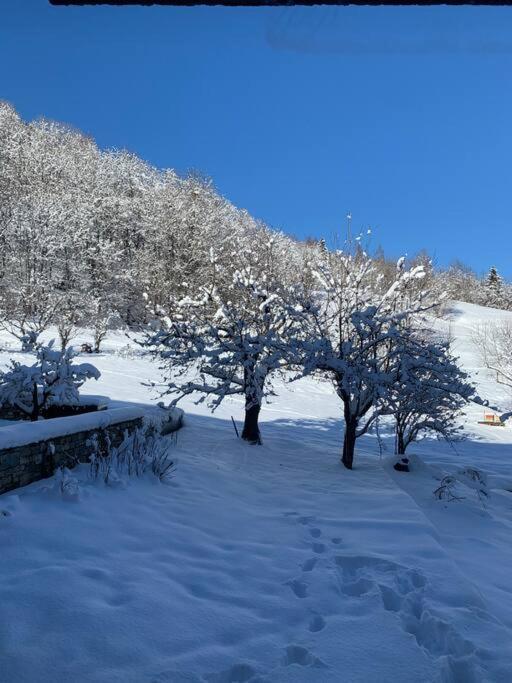 Meribel Chalet De Severine Les Allues Eksteriør bilde